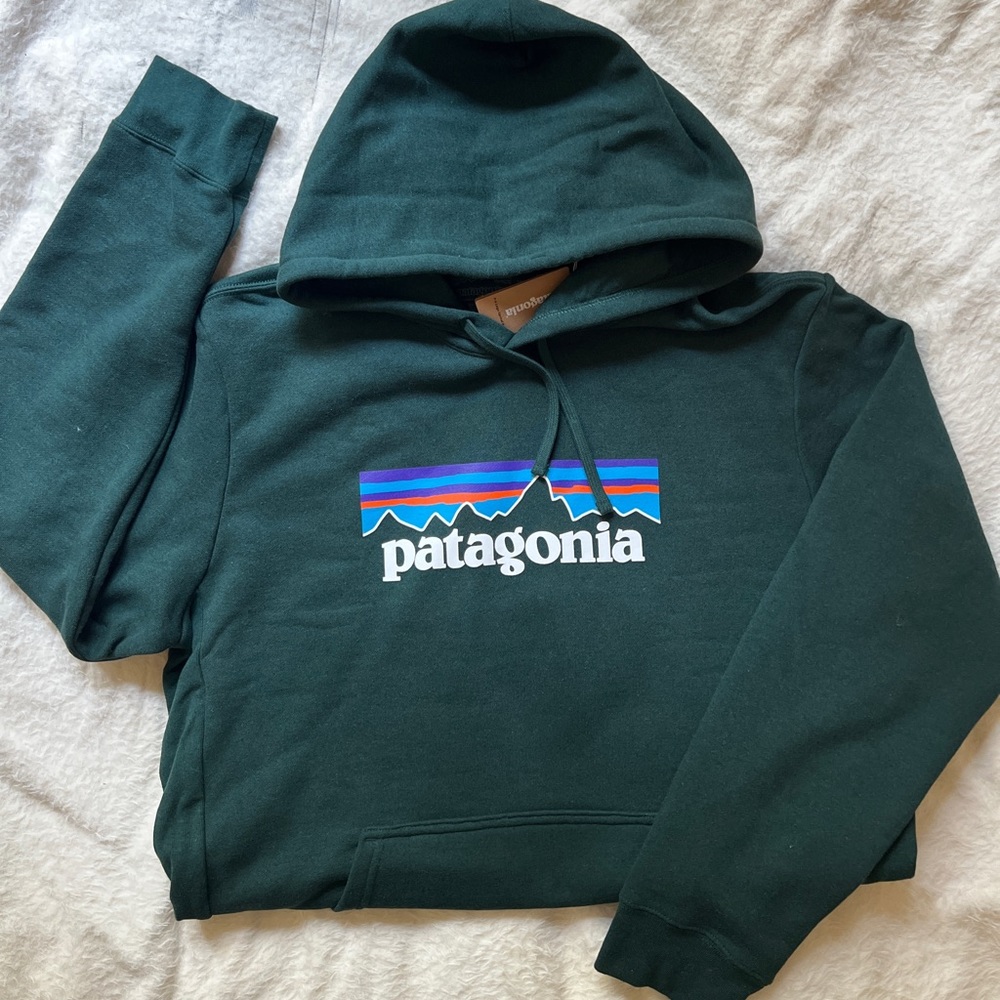 Brand new Patagonia Hoodie